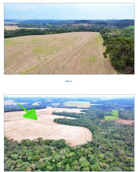 Imóvel em leilão em Mafra/SC - Lote 1