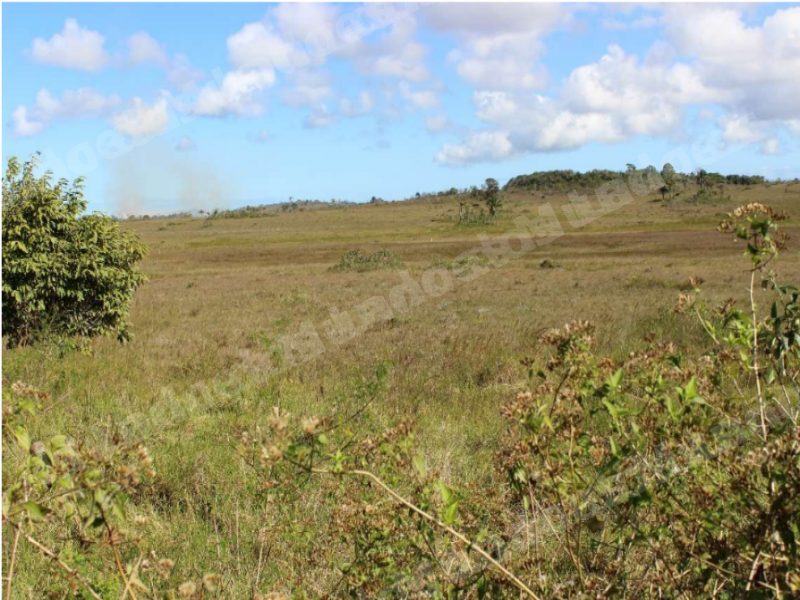 Terreno de 47794 m2 em leilao em Rodovia/BA