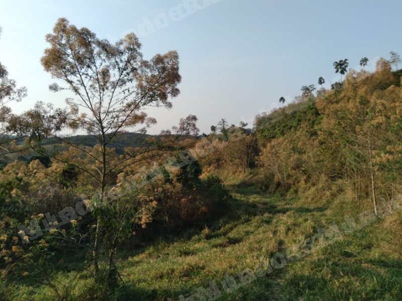 Terreno de 60000 m2 em leilao em As Condições Aplicáveis À Aquisição/MG