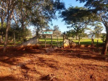 Imovel em leilao em Campo Grande/MS