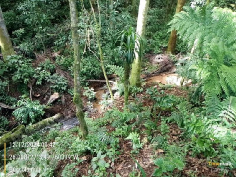 Imóvel rural em leilão em Cambé/PR