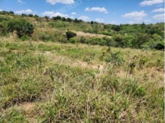 Terreno em leilao em Goias/GO