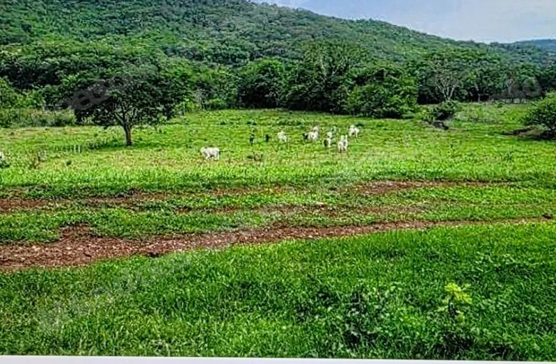 Terreno em leilao em R.i. de Araguari/MG