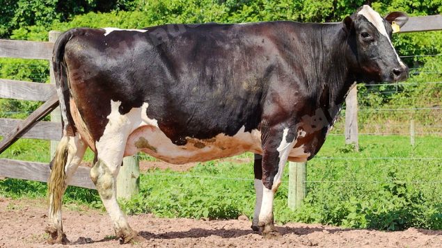 Lote em leilão em Jataí/GO - Lote 26