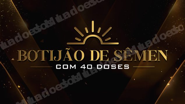 Lote em leilao em Álvares Florence/SP