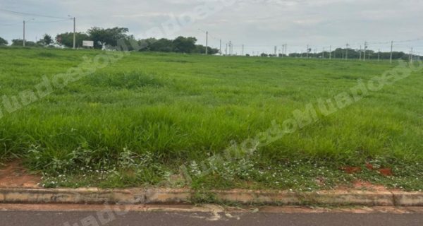 Terreno em leilao em Araçatuba/SP