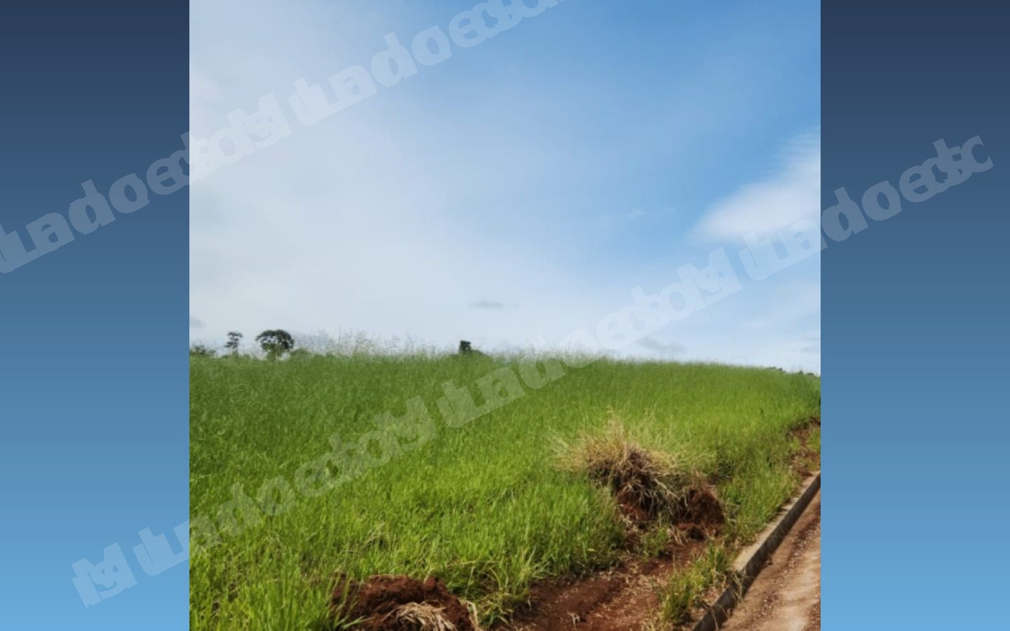 Terreno em leilao em Vista/MG