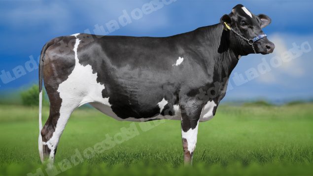 Lote em leilao em Igaratinga/MG - Lote 20