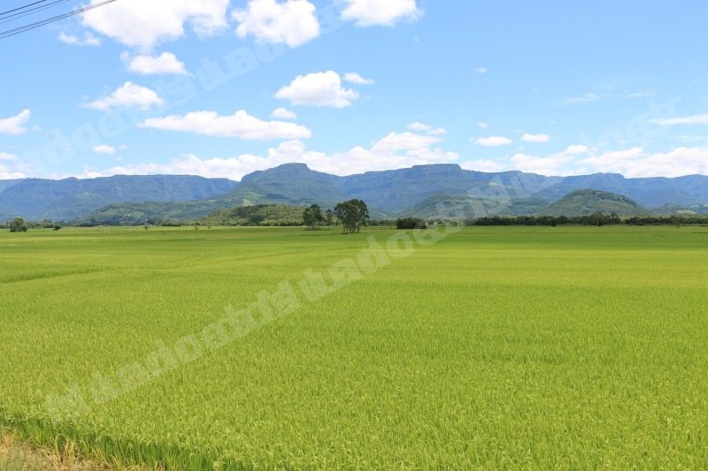 Imovel em leilao em Ressaquinha/MG - Lote 2