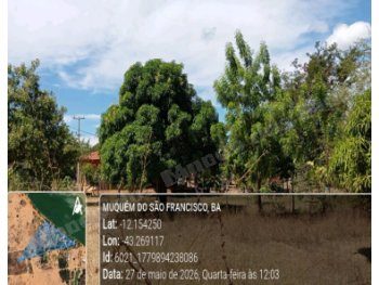 Imóvel de 40000 m2 em leilão em Muquém de São Francisco/BA