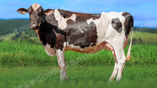 Lote em leilao em Álvares Florence/SP