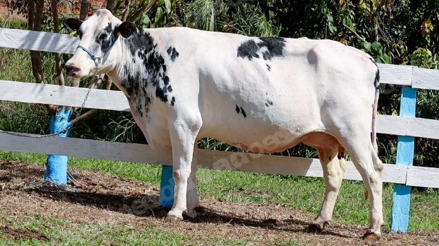 Lote em leilao em Silveiras/SP