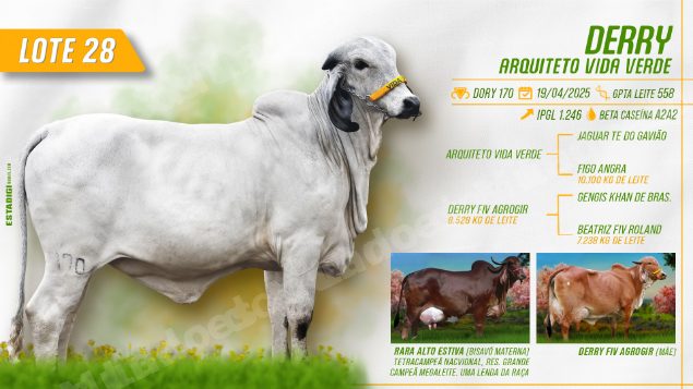 Lote em leilão em Jales/SP - Lote 16