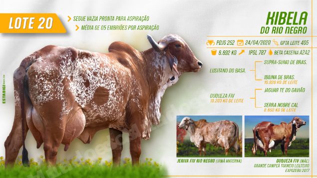 Lote em leilão em Jales/SP - Lote 17