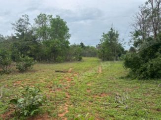 Imovel rural em leilao em Goias/GO - Lote 7