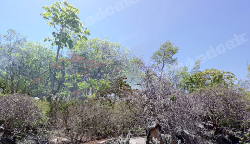 Imovel em leilao em Paratinga/BA