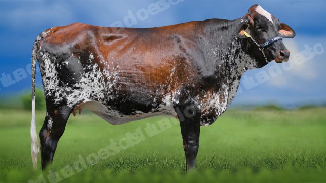 Lote em leilao em Igaratinga/MG - Lote 21