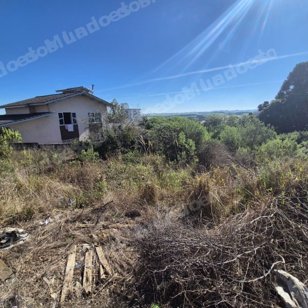 Terreno em leilao em Novos/SC
