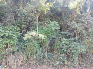 Terreno em leilão em Pinheiral/RJ