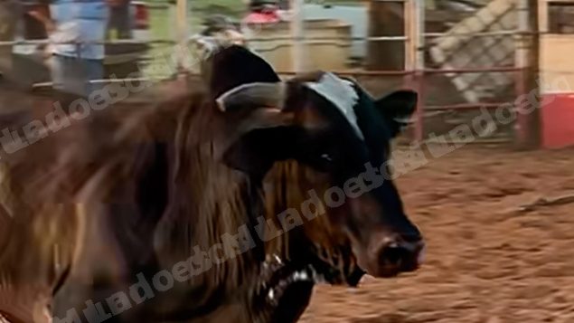 Lote em leilao em Sabino/SP