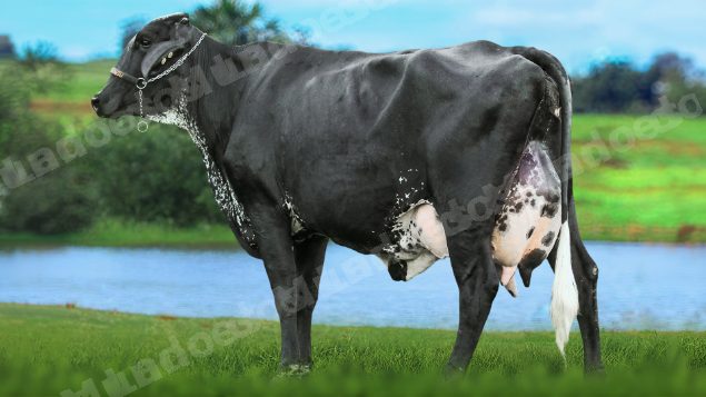 Lote em leilão em RN