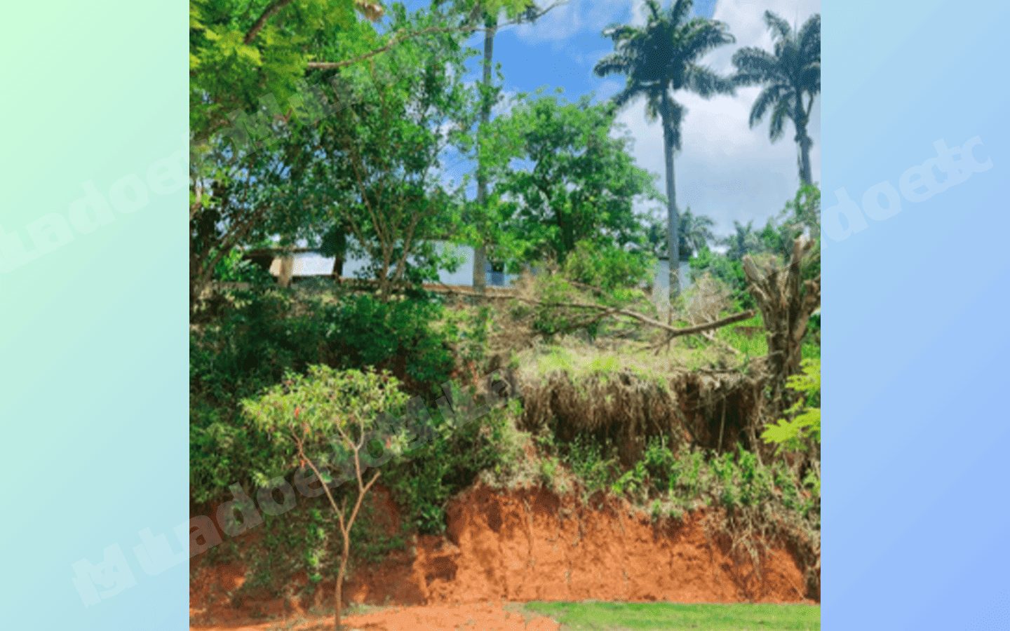 Terreno de 329 m2 em leilao em Muriaé/MG