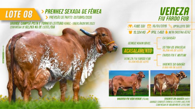 Lote em leilão em Jales/SP - Lote 18