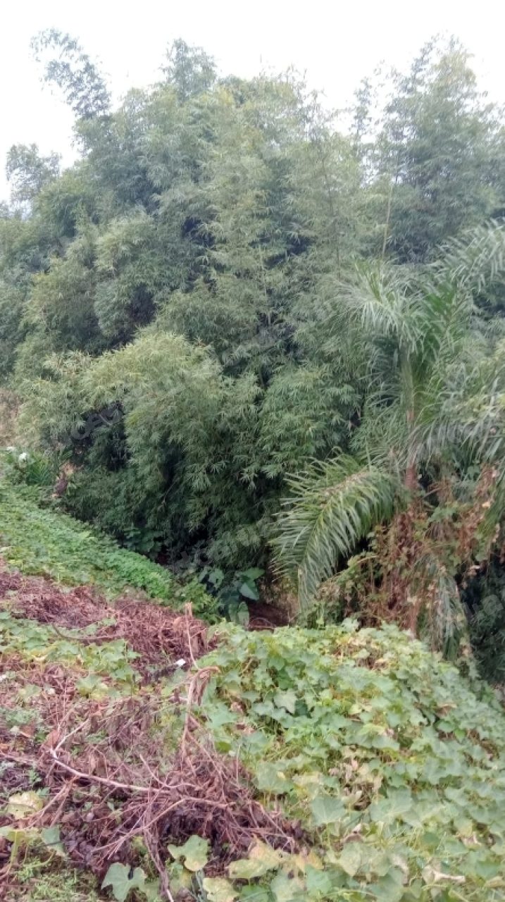 Imovel em leilao em Brasil - Lote 235