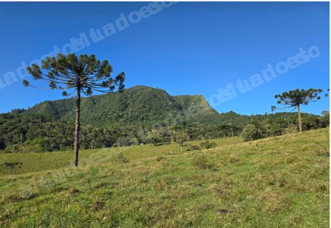 Terreno de 63000 m2 em leilão em Brasil