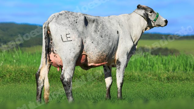 Lote em leilao em Estrela do Indaiá/MG - Lote 10