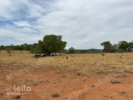 Imóvel rural em leilão em Piranhas/GO - Lote 2