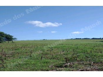 Imóvel em leilão em São Miguel das Missões/RS