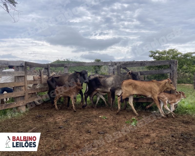 Terreno em leilao em Azevedo/MT