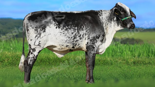 Lote em leilao em Estrela do Indaiá/MG - Lote 11