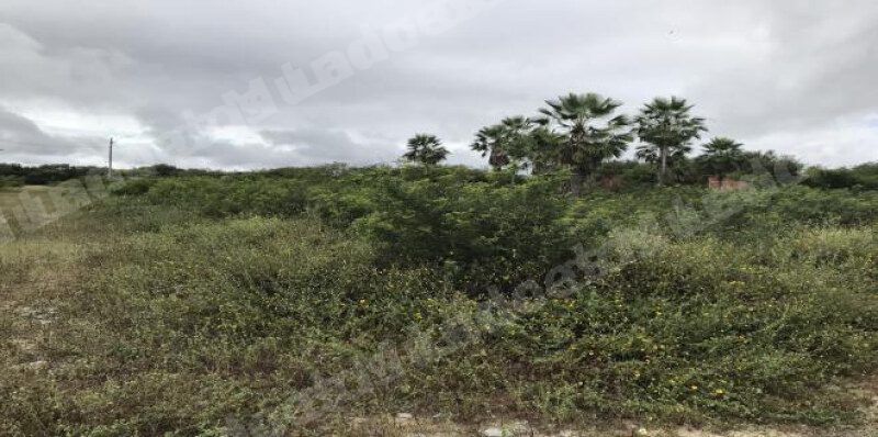 Terreno em leilao em Chorozinho/CE