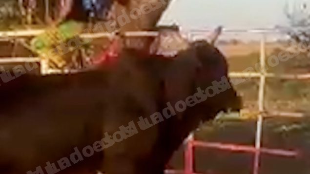 Lote em leilao em Sabino/SP