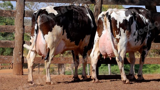 Lote em leilao em Cristalina/GO
