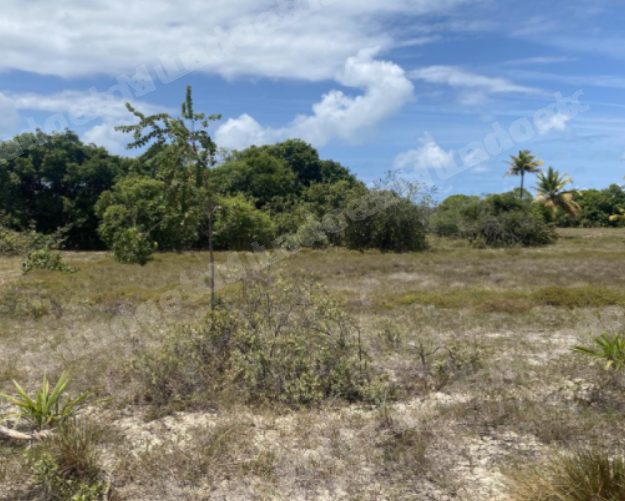 Terreno de 300 m2 em leilao em Itaporanga D'ajuda/SE