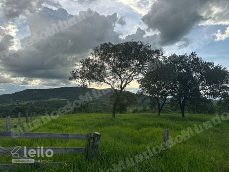 Terreno de 62920 m2 em leilão em Israelândia/GO
