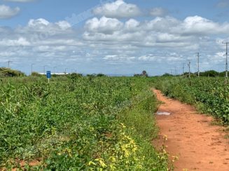 Terreno em leilao em Apodi/RN