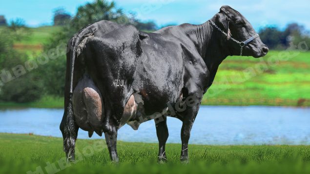 Lote em leilão em Brasil