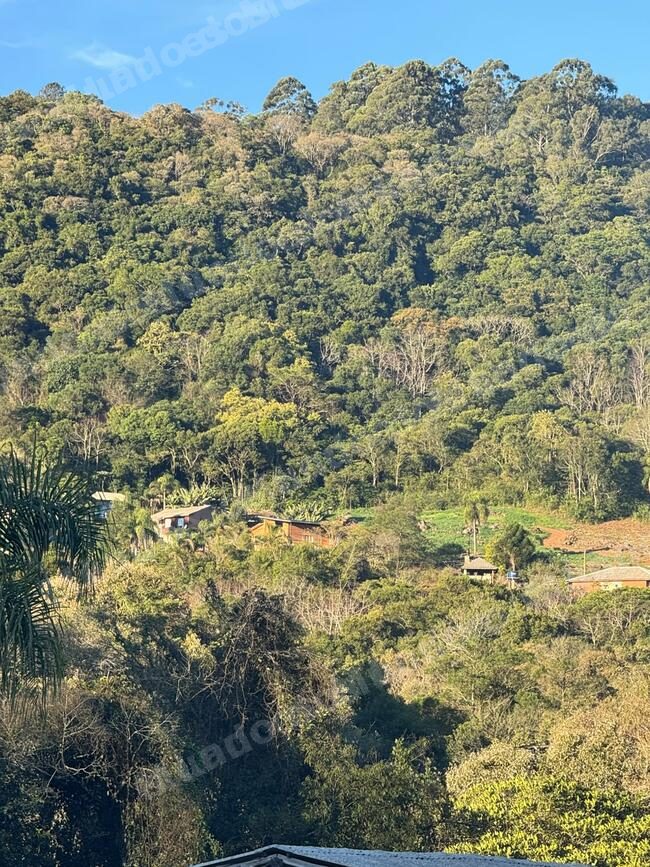 Terreno em leilao em Gramado/RS