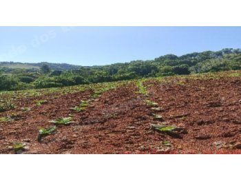 Imóvel em leilão em Mondaí/SC