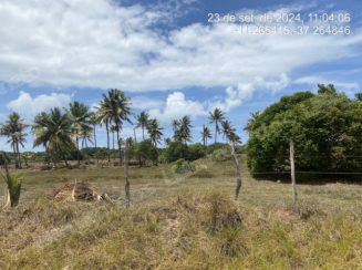 Terreno em leilão em Itaporanga d'Ajuda/SE - Lote 393