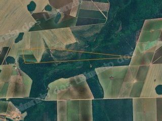 Imóvel rural em leilão em Campo Novo do Parecis/MT