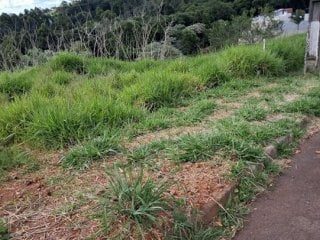 Terreno de 364 m2 em leilão em Chapecó/SC