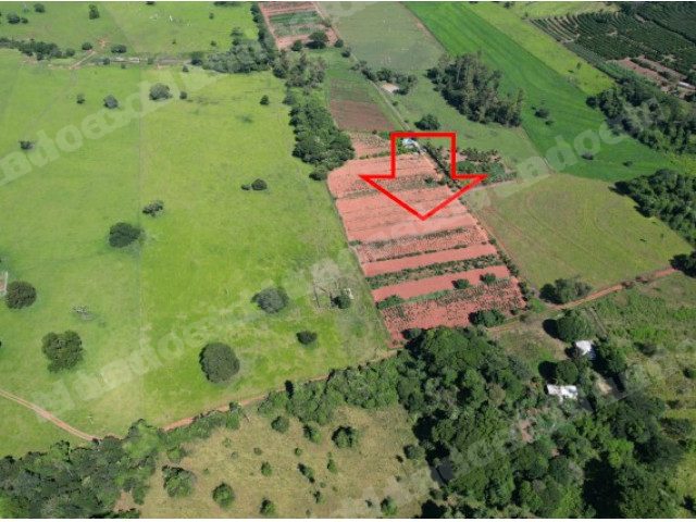 Terreno em leilao em Santa Salete/SP