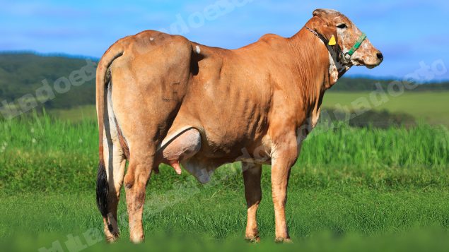 Lote em leilao em Estrela do Indaiá/MG - Lote 12