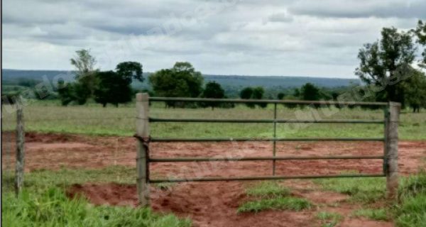 Terreno em leilão em Araçatuba/SP