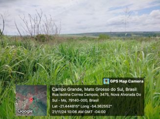 Imóvel em leilão em Nova Alvorada do Sul/MS - Lote 10